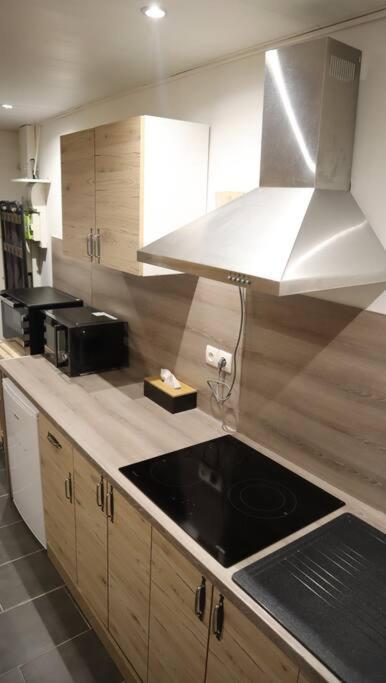 Maison Atypique, Centre-Ville 2+2 Pers Sauna Ir Седан Экстерьер фото